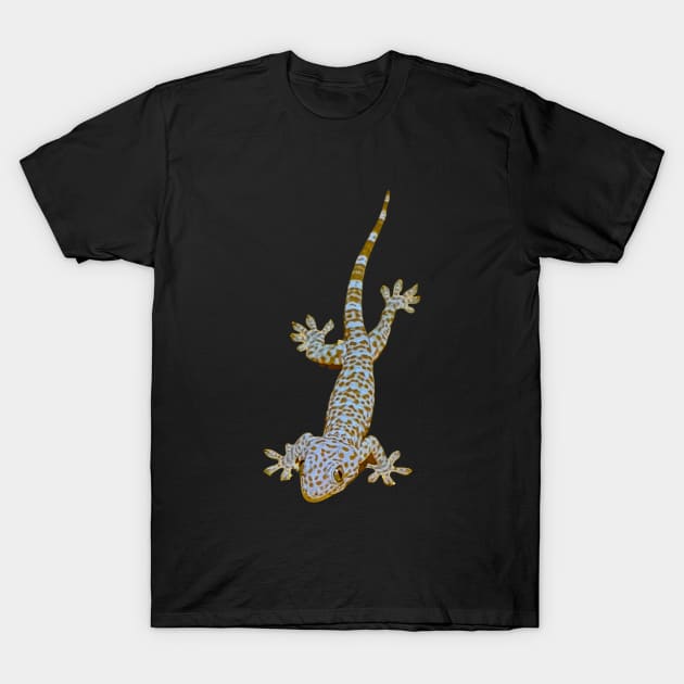 Tokay Gecko T-Shirt by Upbeat Traveler